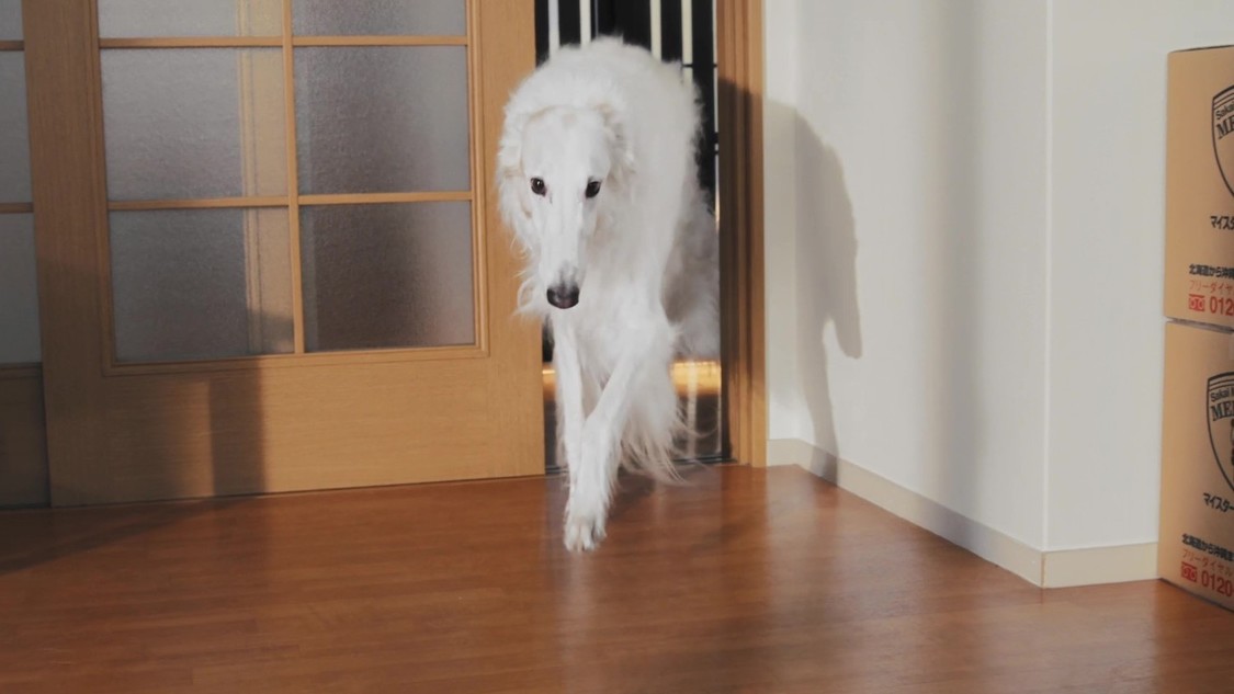 新CM「残り10分、まごころこめて」篇より