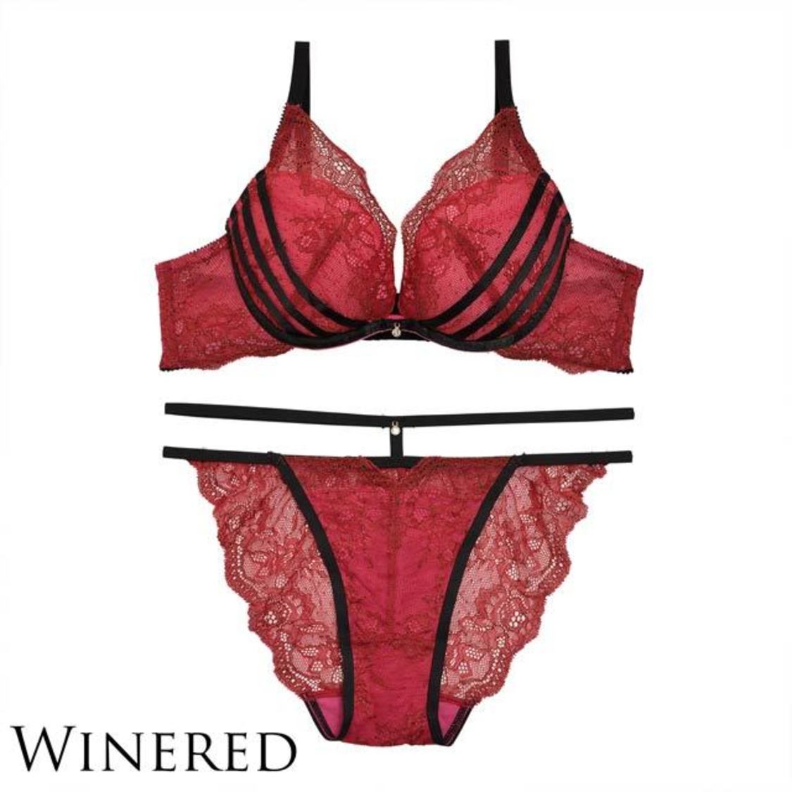 オールレースラインブラジャー＆バック透けショーツ