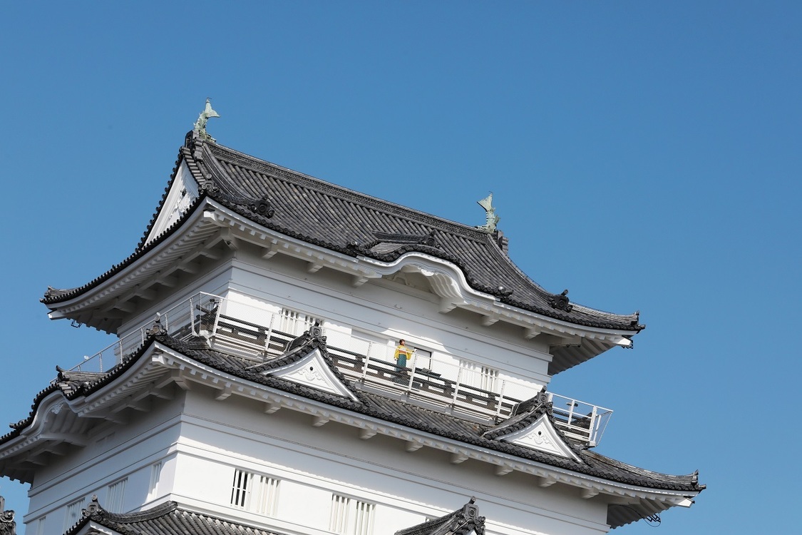 Singing Cosplayer Hikari