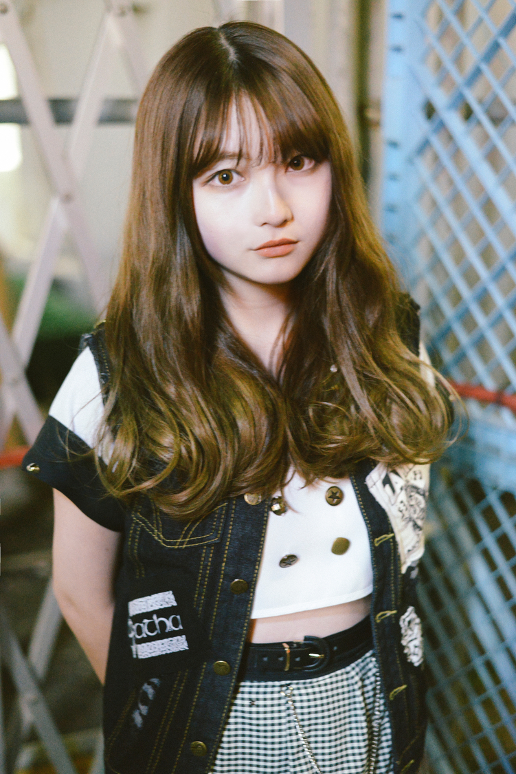 大熊猫(おおくま ねこ)