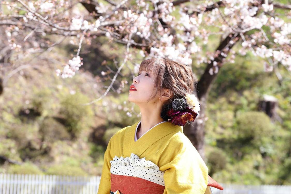 Singing Cosplayer Hikari／「夢と葉桜」