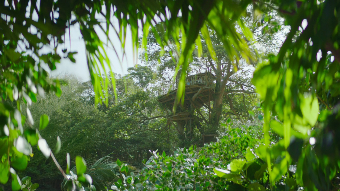 発泡酒『淡麗グリーンラベル』新TV-CM「GREEN JUKEBOX君」篇より