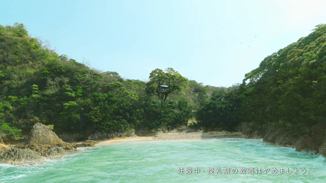 発泡酒『淡麗グリーンラベル』新TV-CM「GREEN JUKEBOX君」篇より