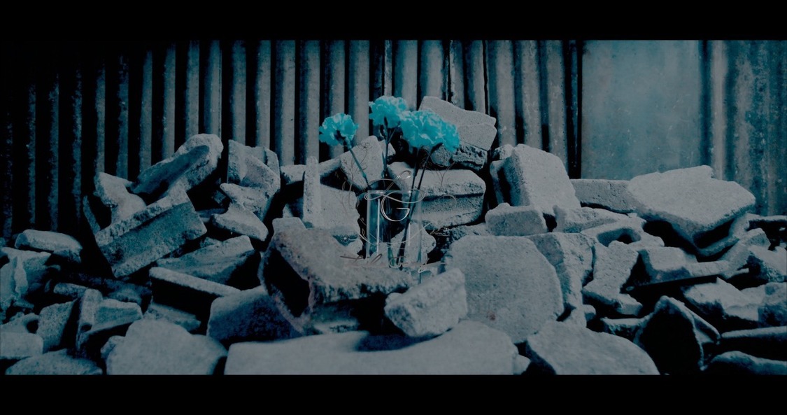 「孤独の熱帯夜」MVティーザー映像より