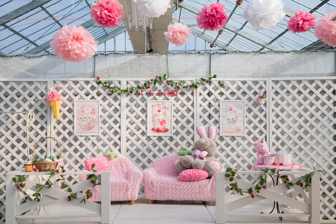 「宮島るりかの可愛いいちご農園」