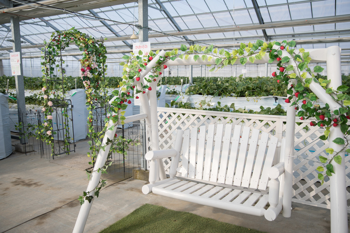 2、ブランコ：いちごやグリーンに包まれた、フォトジェニックなブランコ。