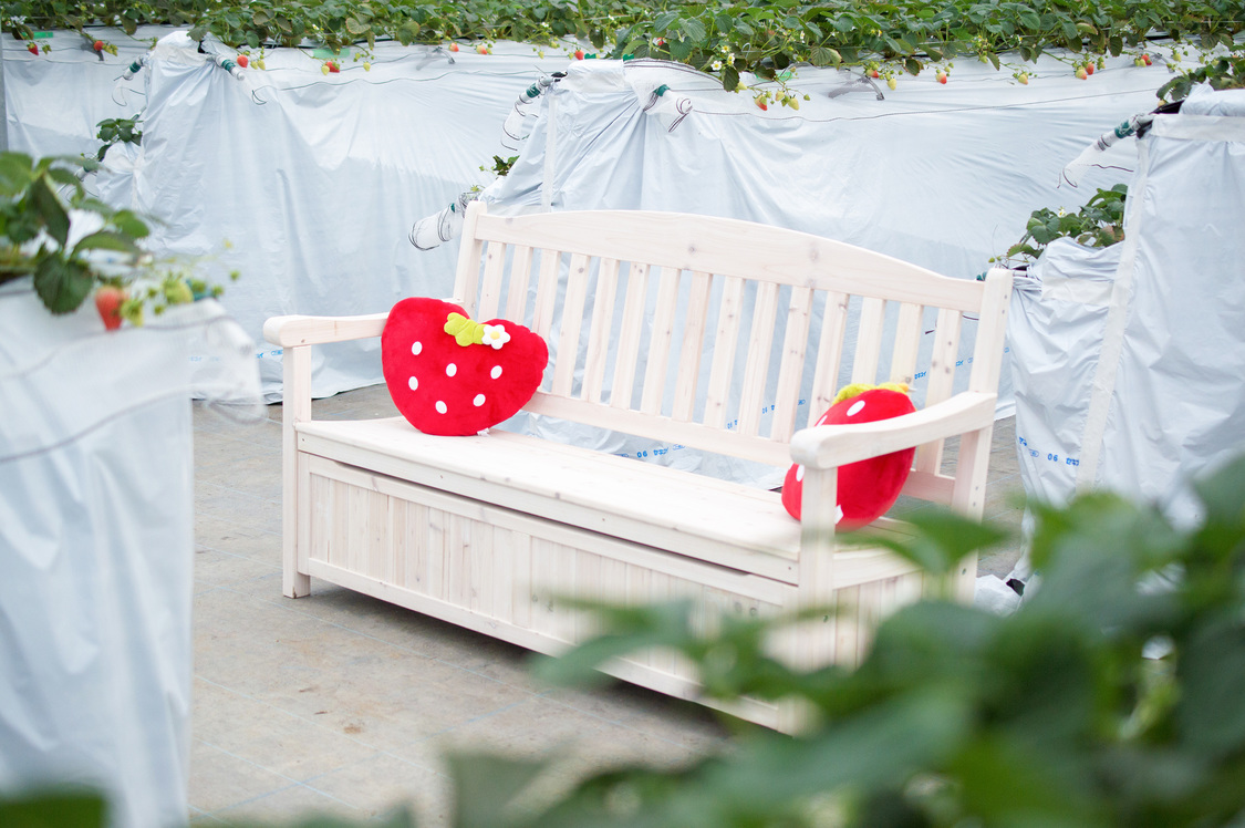 4、ウッドベンチ：真っ白なカントリー風のウッドベンチ。多人数の撮影にも。