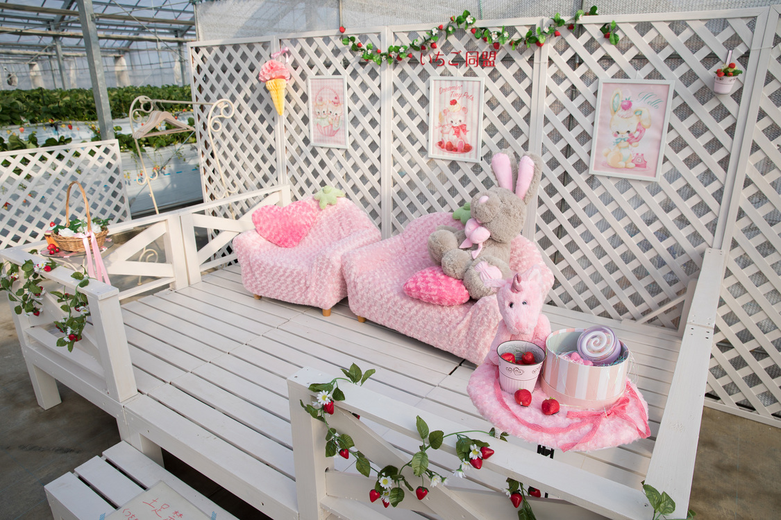 5、ウッドデッキ：テラスのような広いスペースにいちごのソファ。お子様の撮影にも。