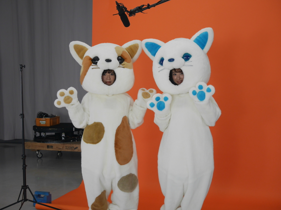 2月11日OA【くらしのマーケット】オリジナル動画撮影（猫の着ぐるみ姿）