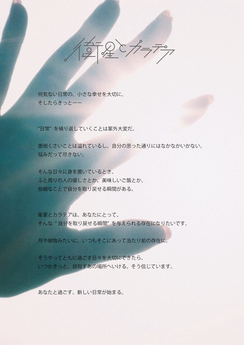 衛星とカラテアコンセプト