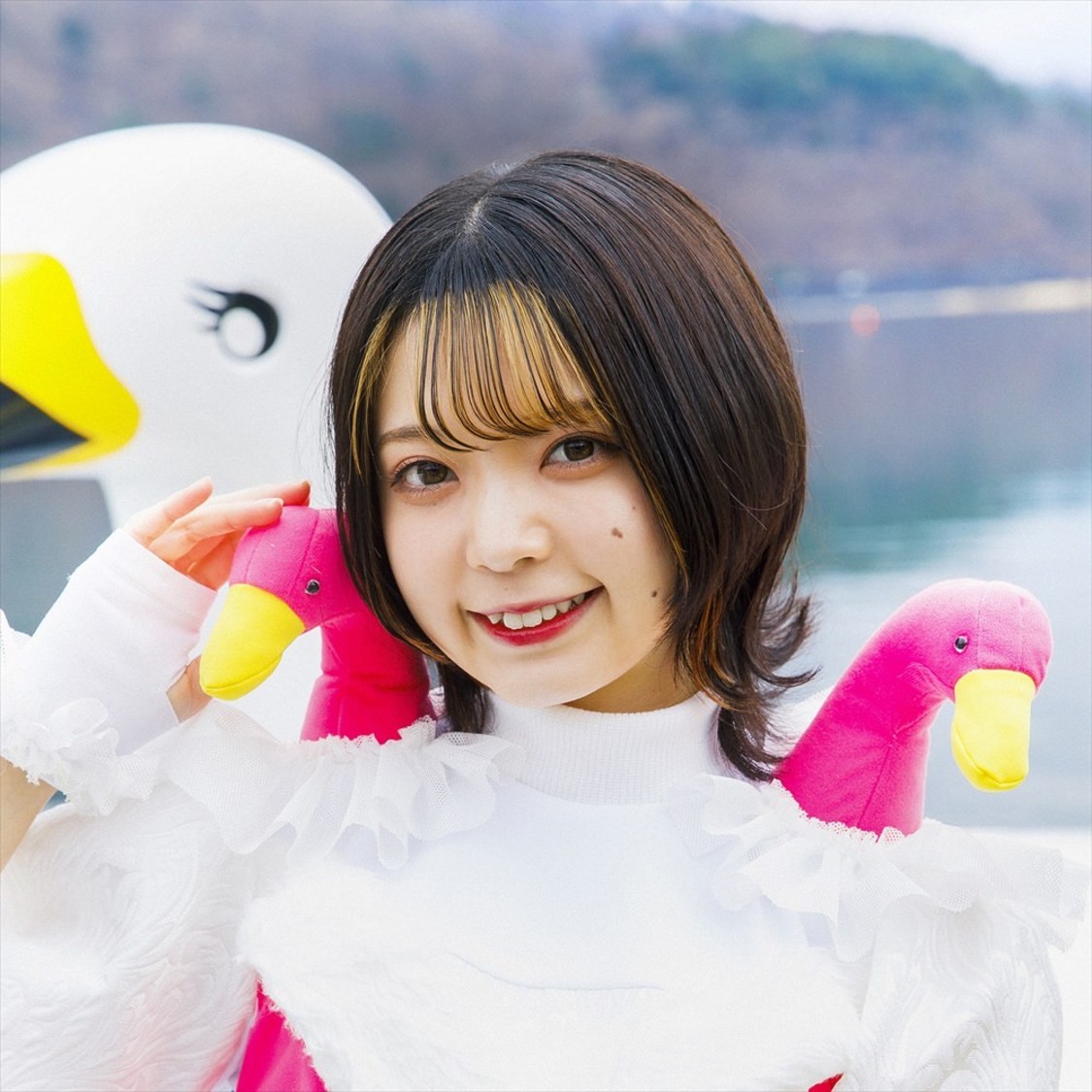 ミユキエンジェル（豆柴の大群）