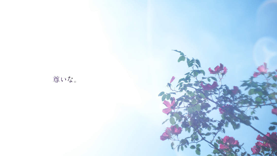 コンセプトムービー『メロウ環奈』より