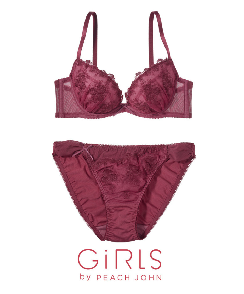 もりこれプレジールブラセット（ボルドー）