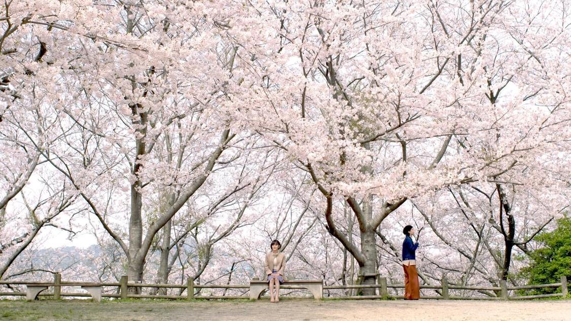 映画『徒桜』場面写真より