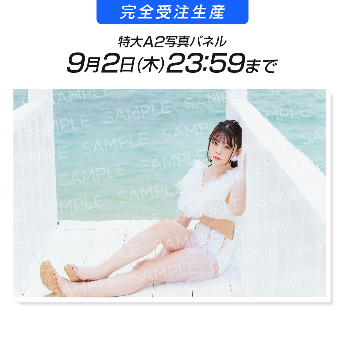 豊田あさ（JamsCollection）特大A2写真パネル