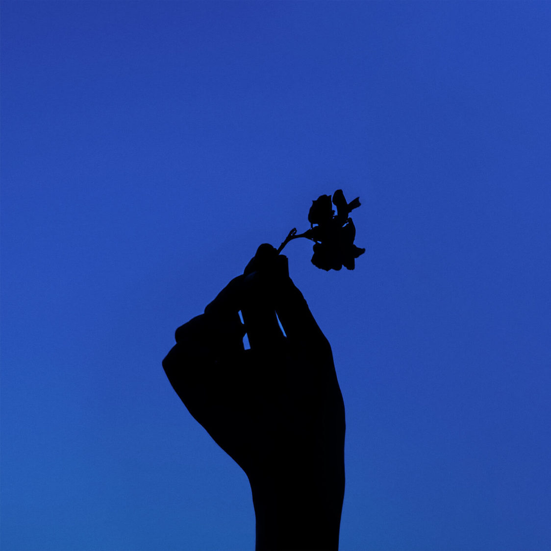 com 4thデジタルシングル「letter」