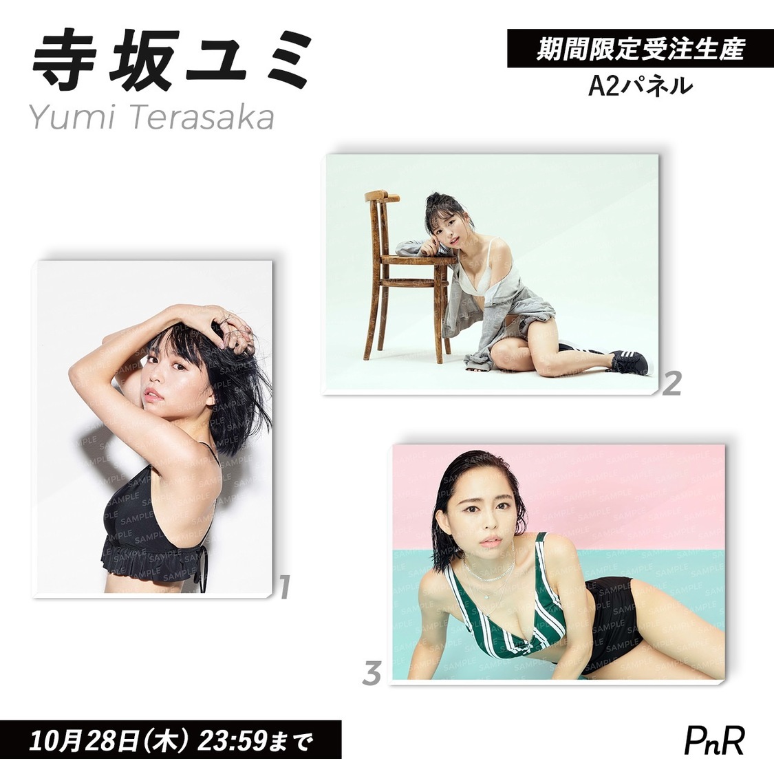 直筆サイン入り特大A2写真パネル