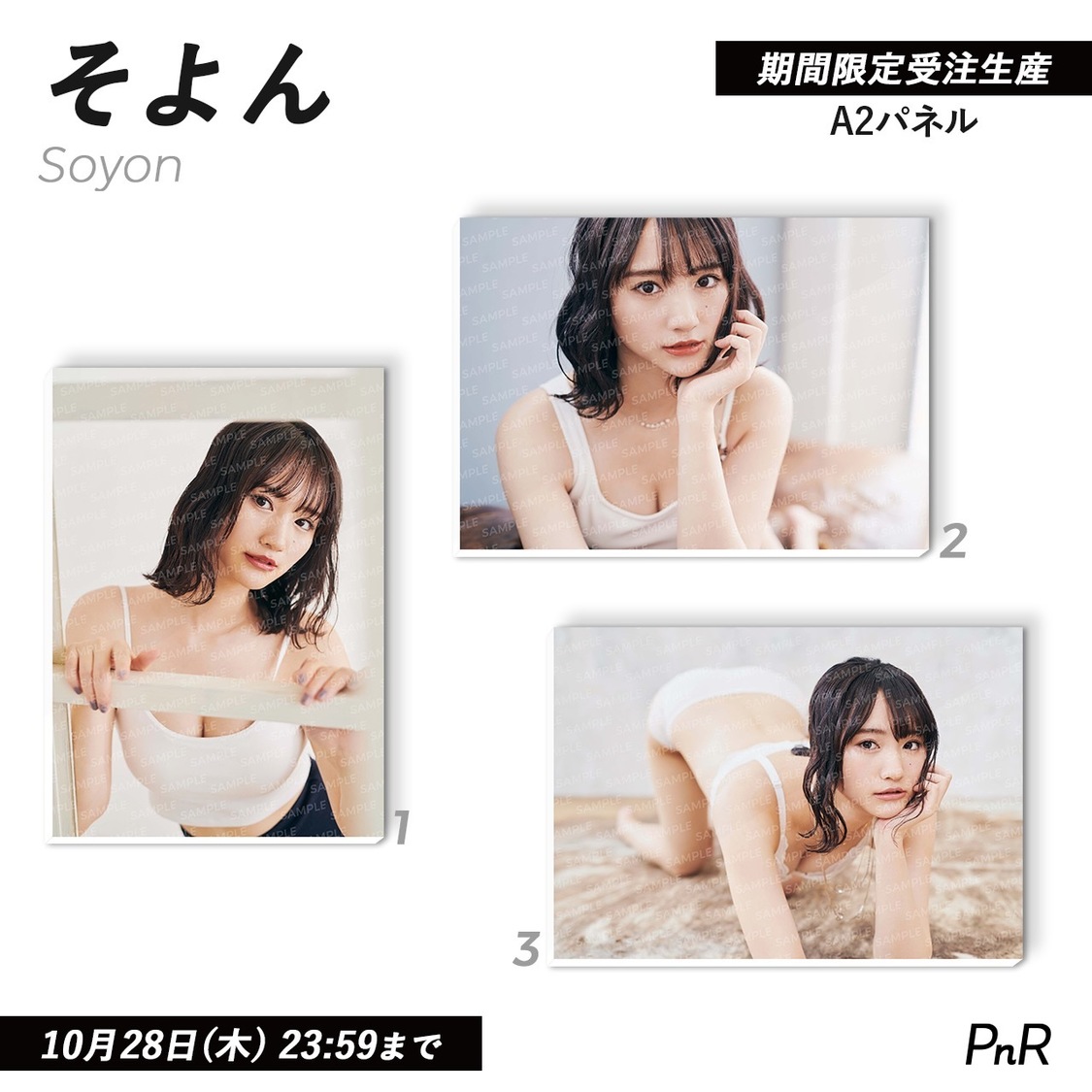 直筆サイン入り特大A2写真パネル