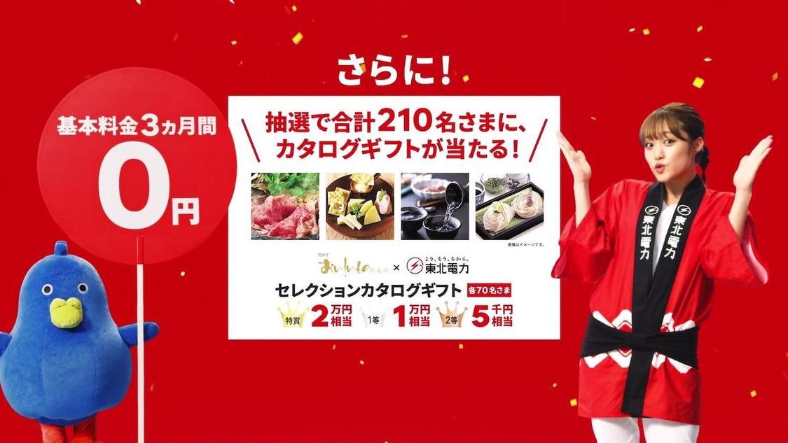 『東北電力』新TV-CM「王林とマカプゥで得祭」篇より