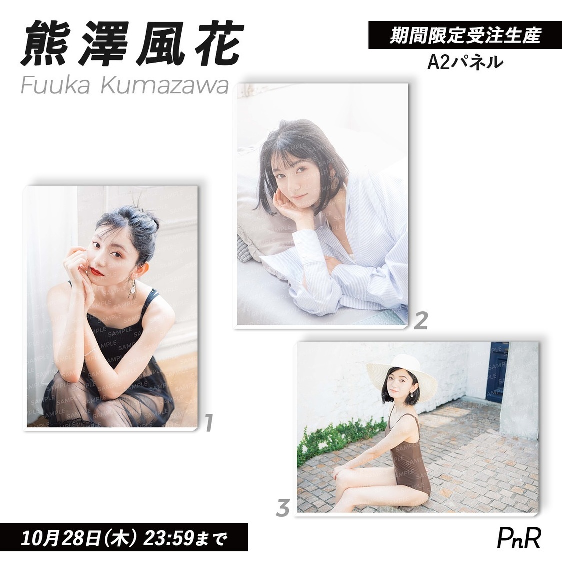 直筆サイン入り特大A2写真パネル