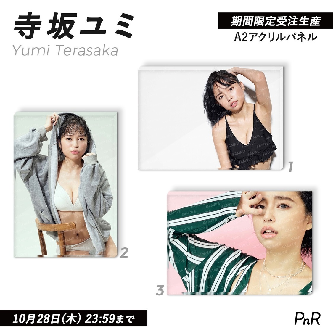 直筆サイン入り特大A2アクリルパネル