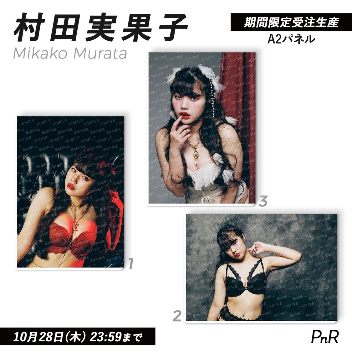 直筆サイン入り特大A2写真パネル