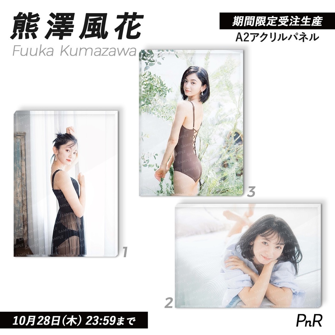 直筆サイン入り特大A2アクリルパネル