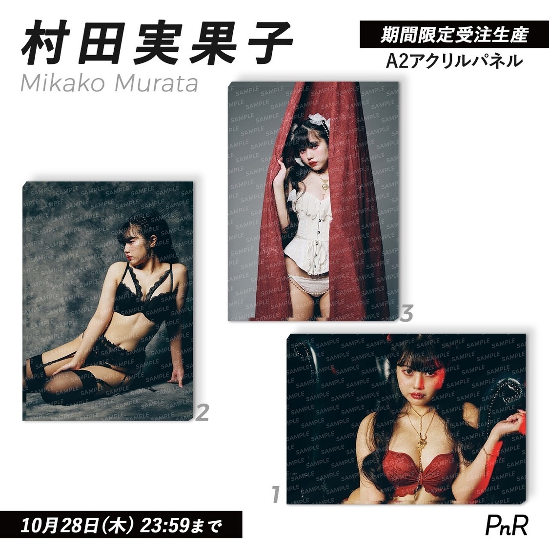 直筆サイン入り特大A2アクリルパネル