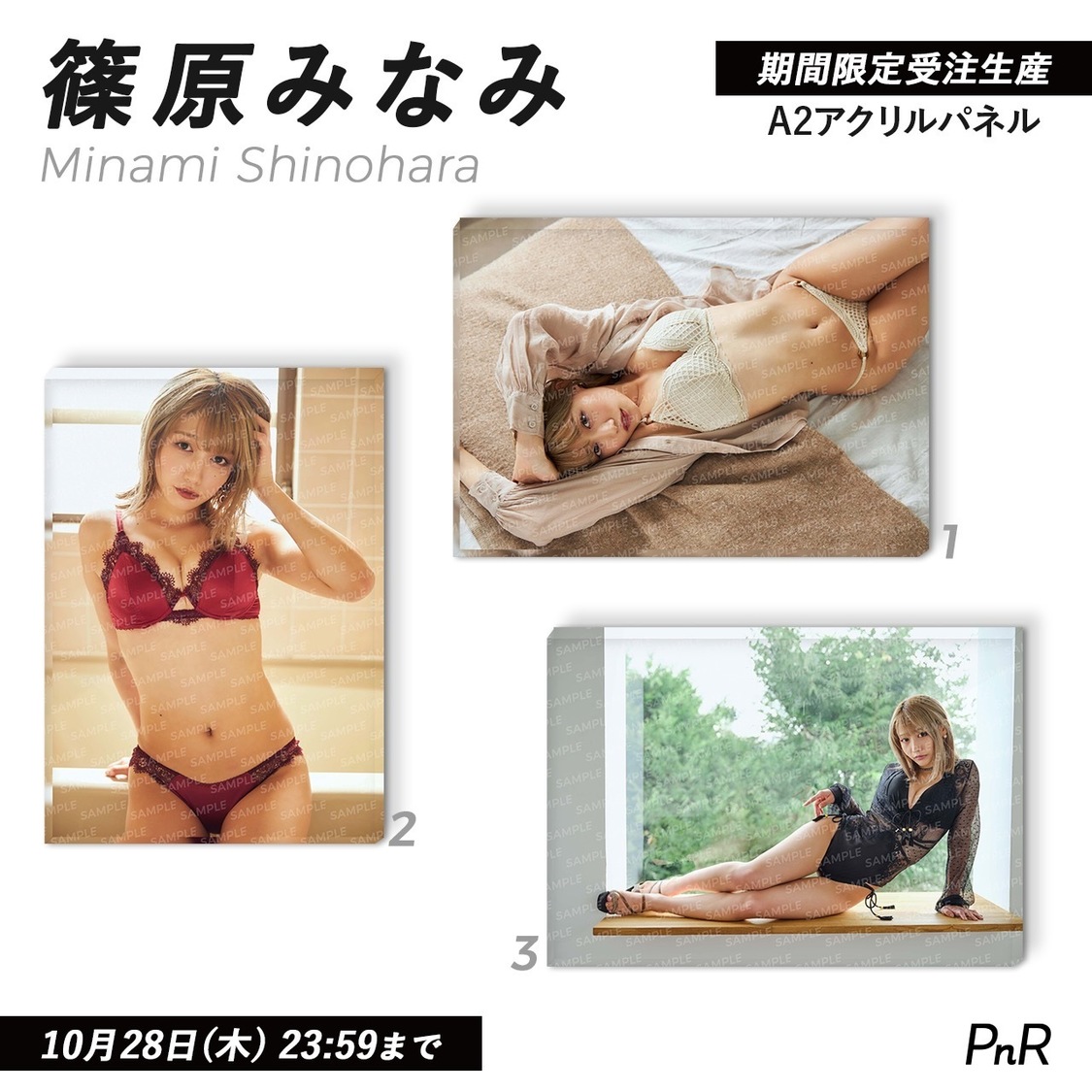 直筆サイン入り特大A2アクリルパネル