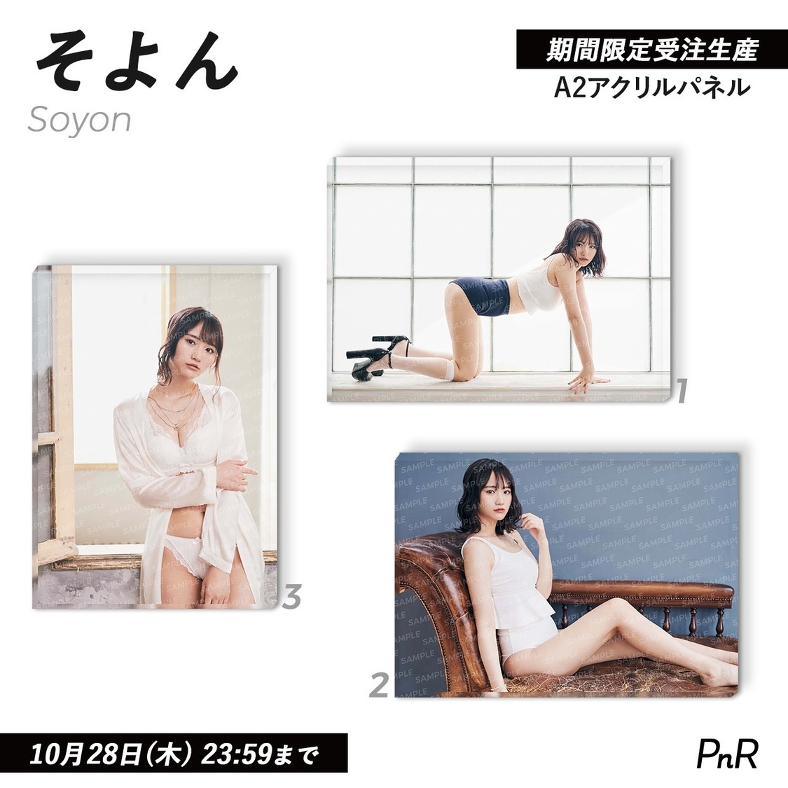 直筆サイン入り特大A2アクリルパネル