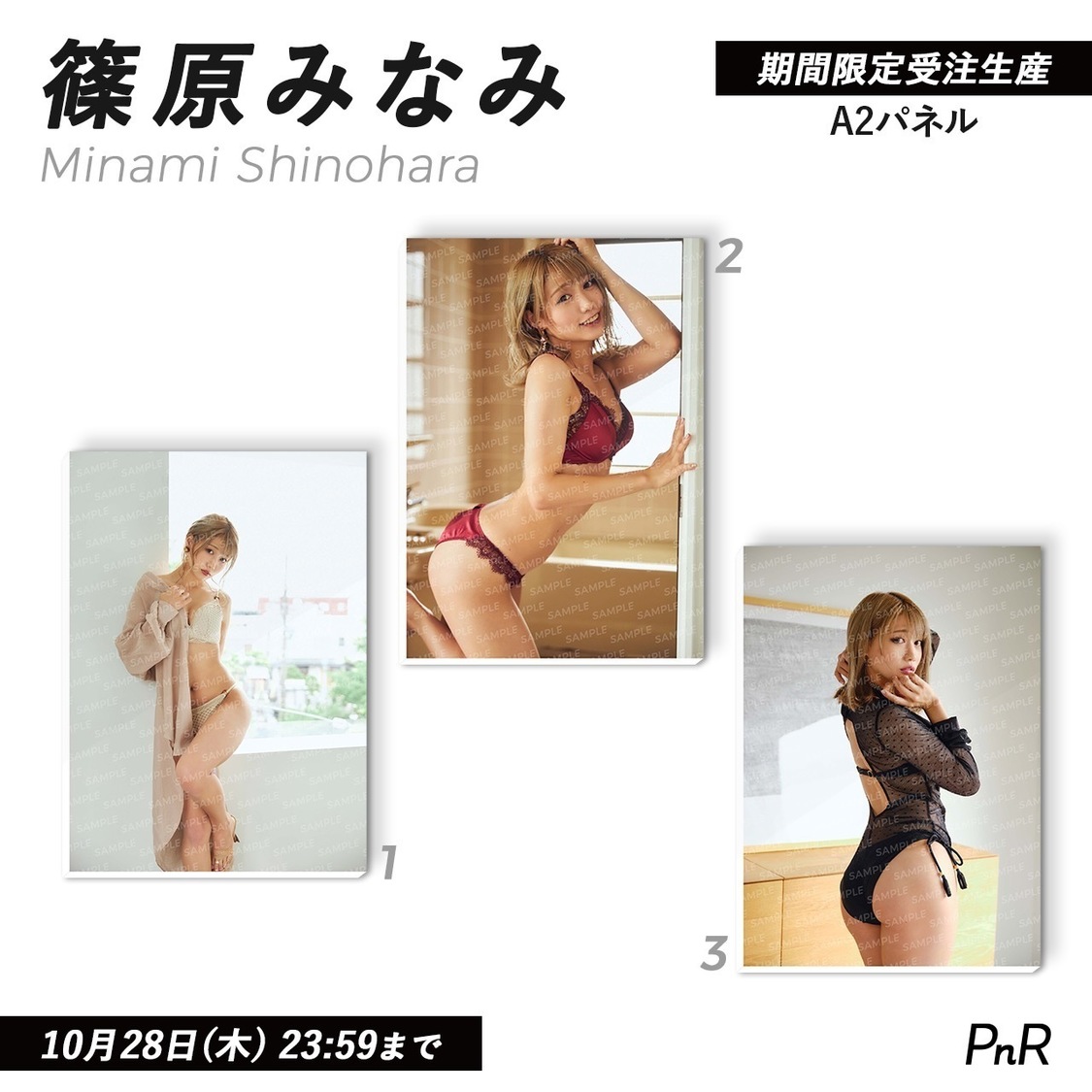 直筆サイン入り特大A2写真パネル