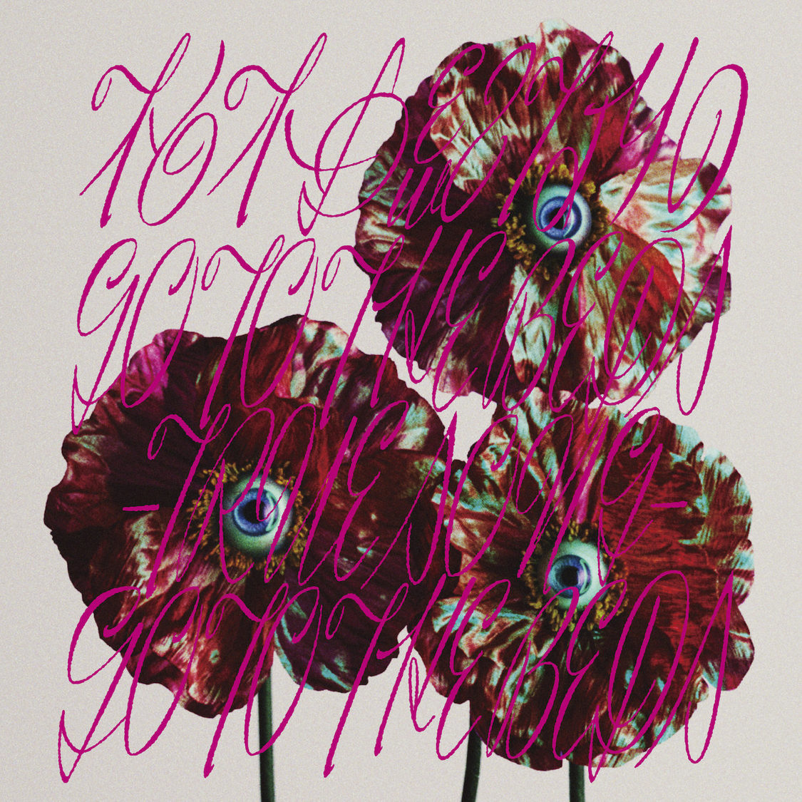 「柏木由紀なりのGO TO THE BEDS-TRUE SONG-」