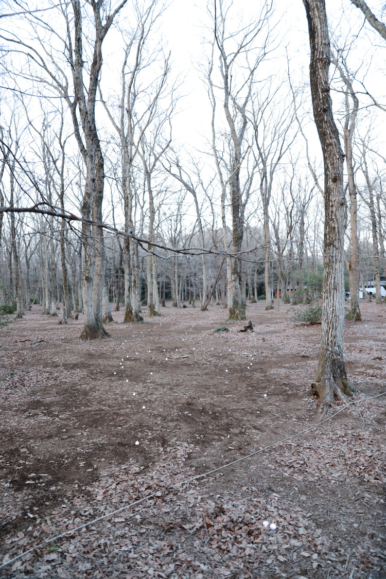 ゑんら「妖怪ディスコ」MV撮影より