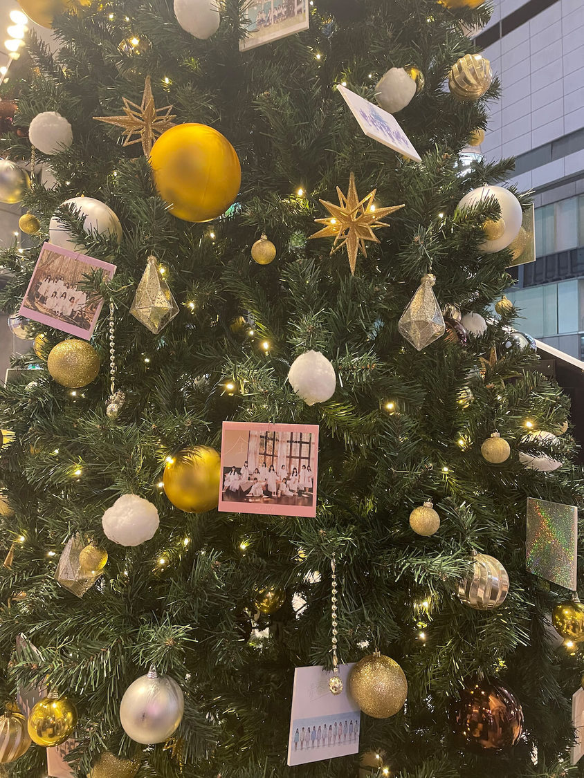 SHIBUYA TSUTAYA：巨大クリスマスツリー