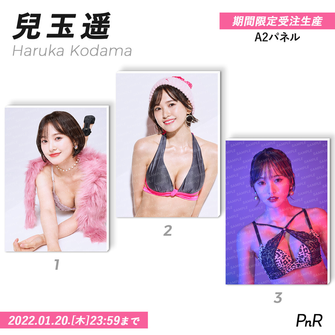 直筆サイン入り特大A2写真パネル