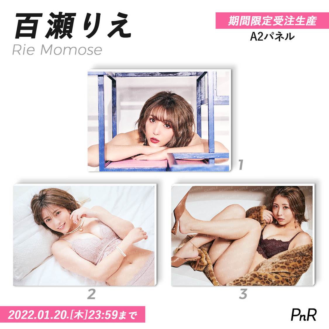 直筆サイン入り特大A2写真パネル