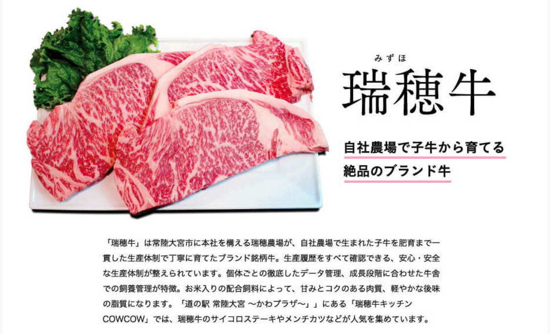 電子雑誌『月刊 旅色』2022年1月号より