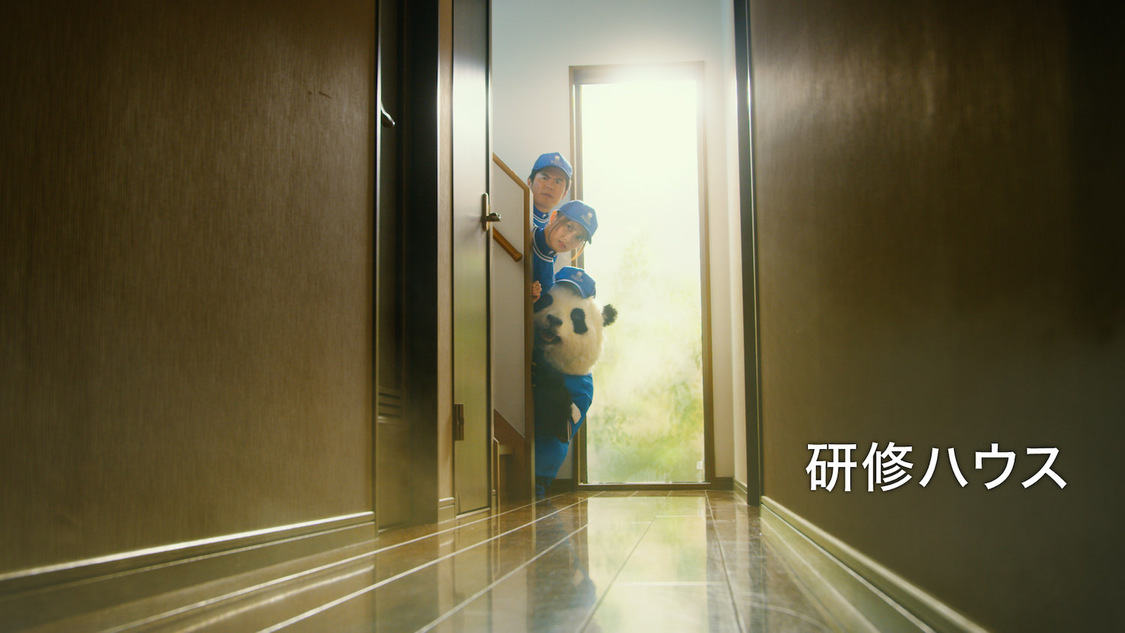 サカイ引越センター「まごころパンダ」シリーズ新CM「マイスター」篇より