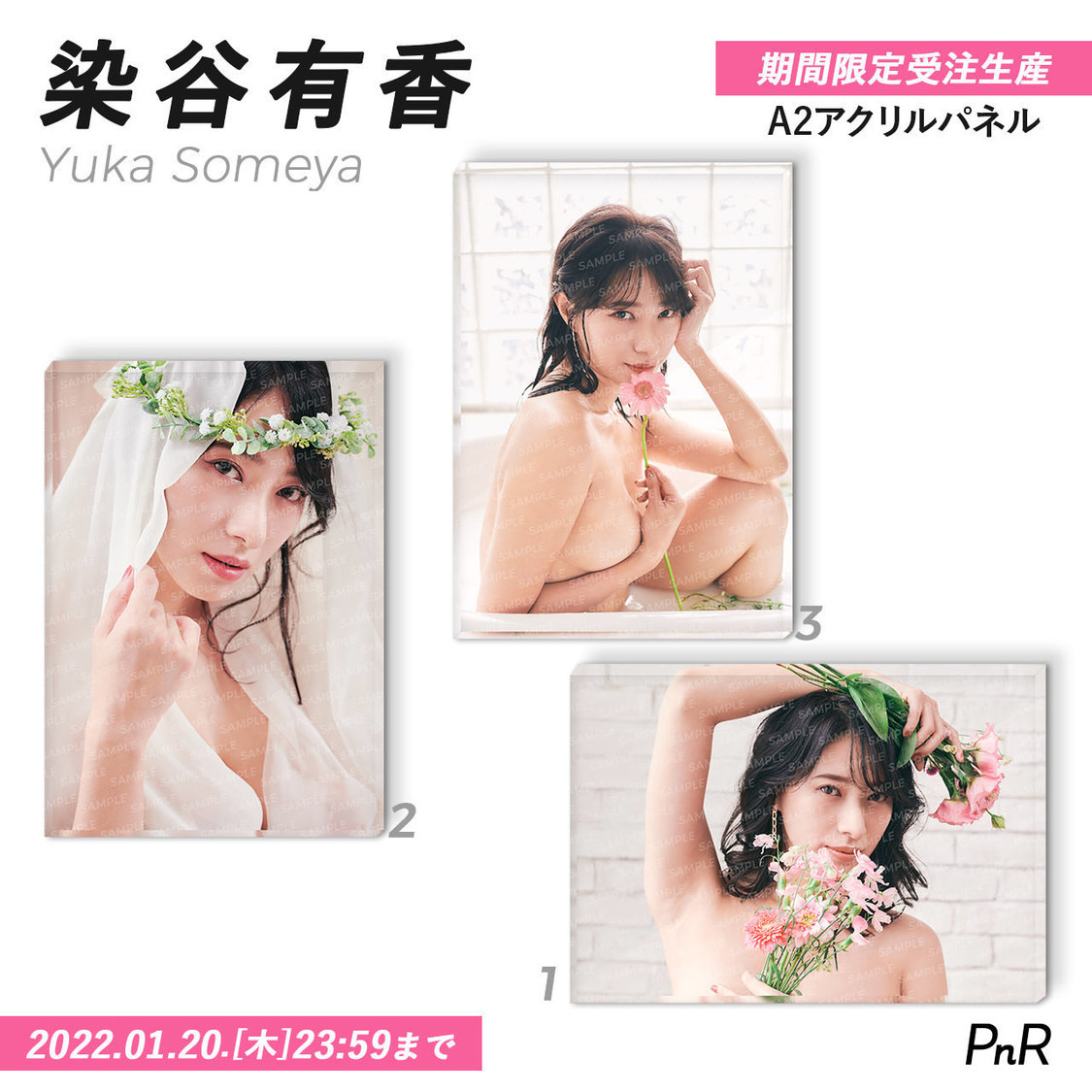 直筆サイン入り特大A2アクリルパネル