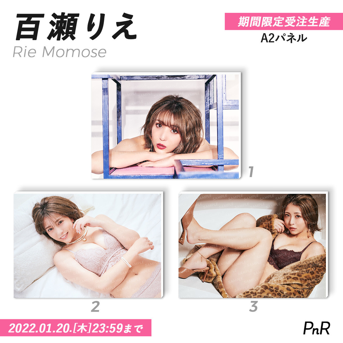 直筆サイン入り特大A2写真パネル