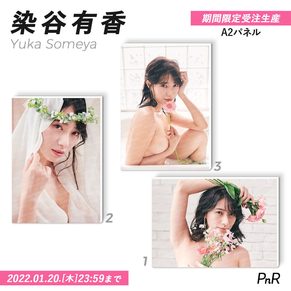 直筆サイン入り特大A2写真パネル