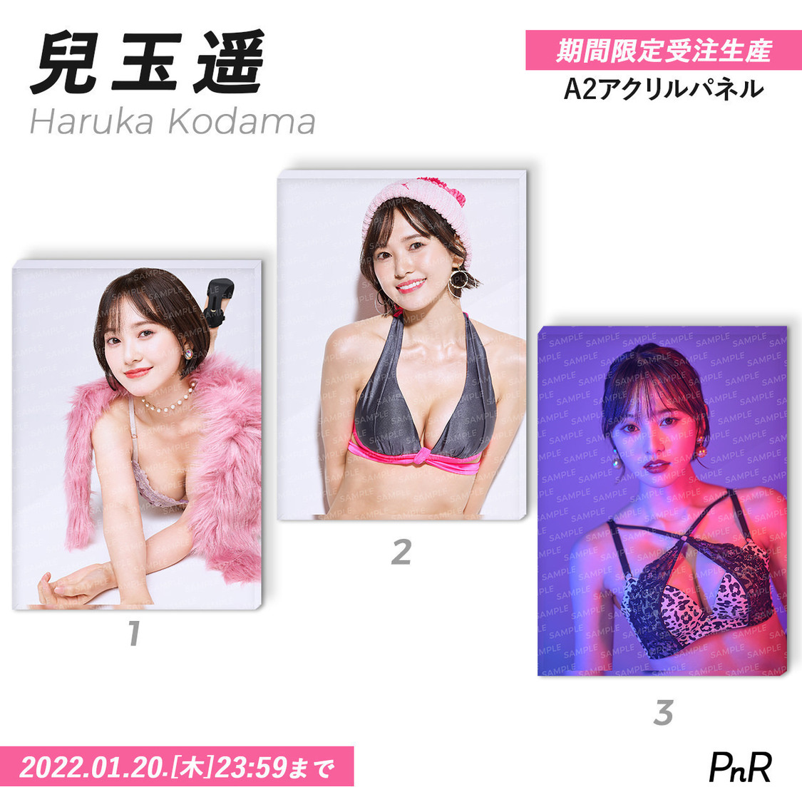 直筆サイン入り特大A2アクリルパネル