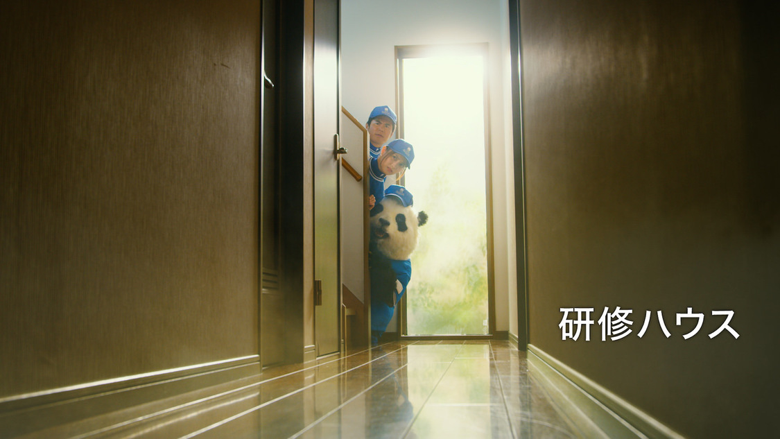 サカイ引越センター「まごころパンダ」シリーズ新CM「マイスター」篇より