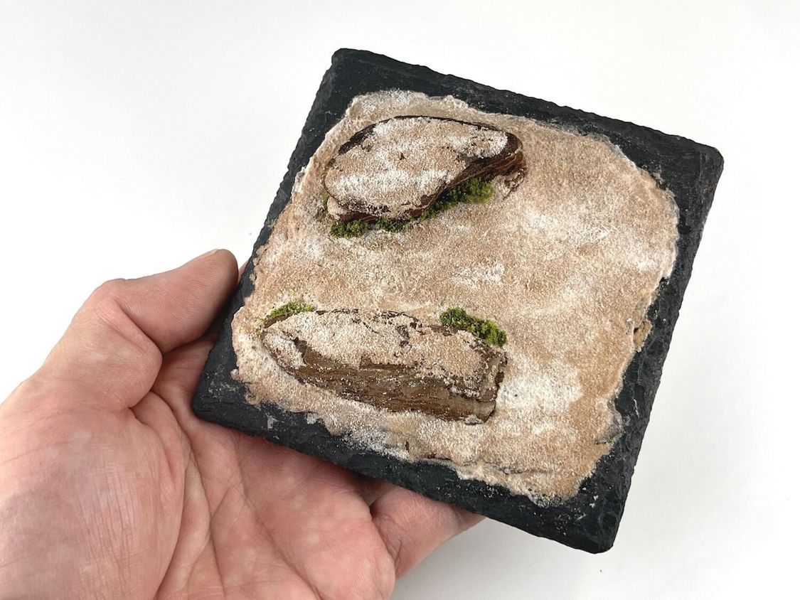 ※写真はすべてイメージ。