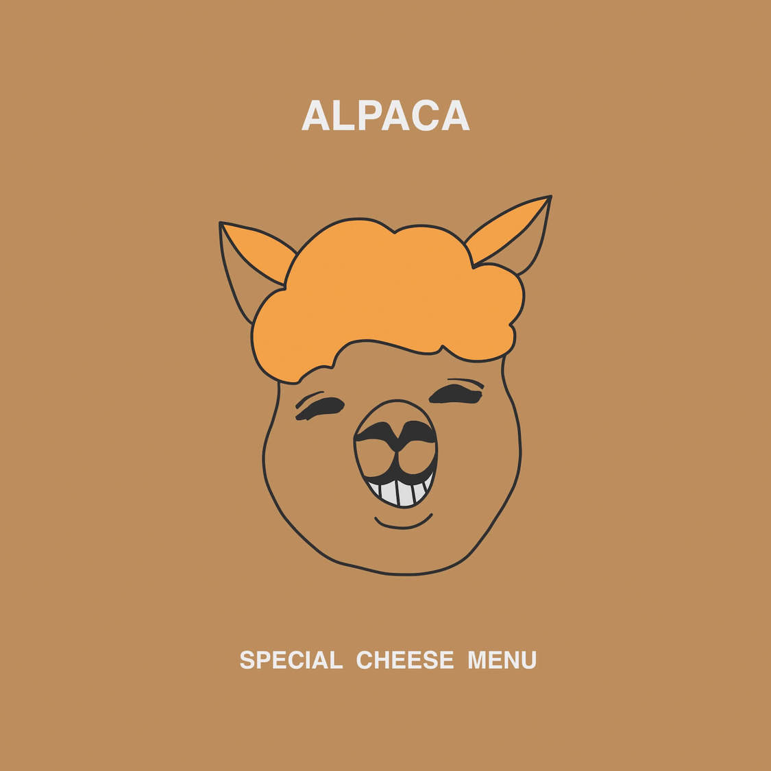 2ndシングル「ALPACA」ジャケット写真