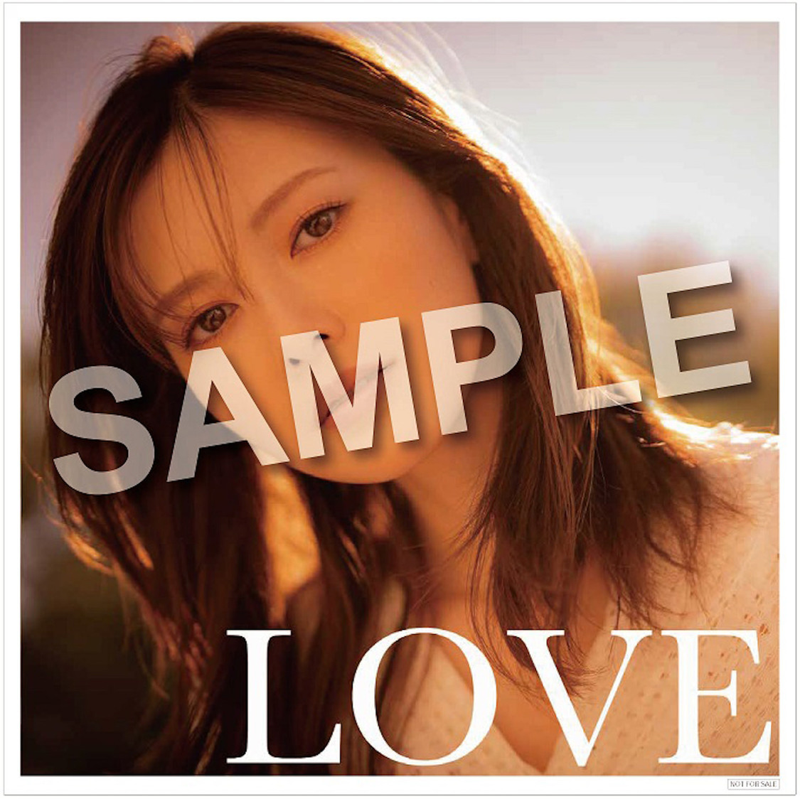 「LOVE ～もういちど好きになってもいいですか？～ mixed by DJ和」メガジャケ