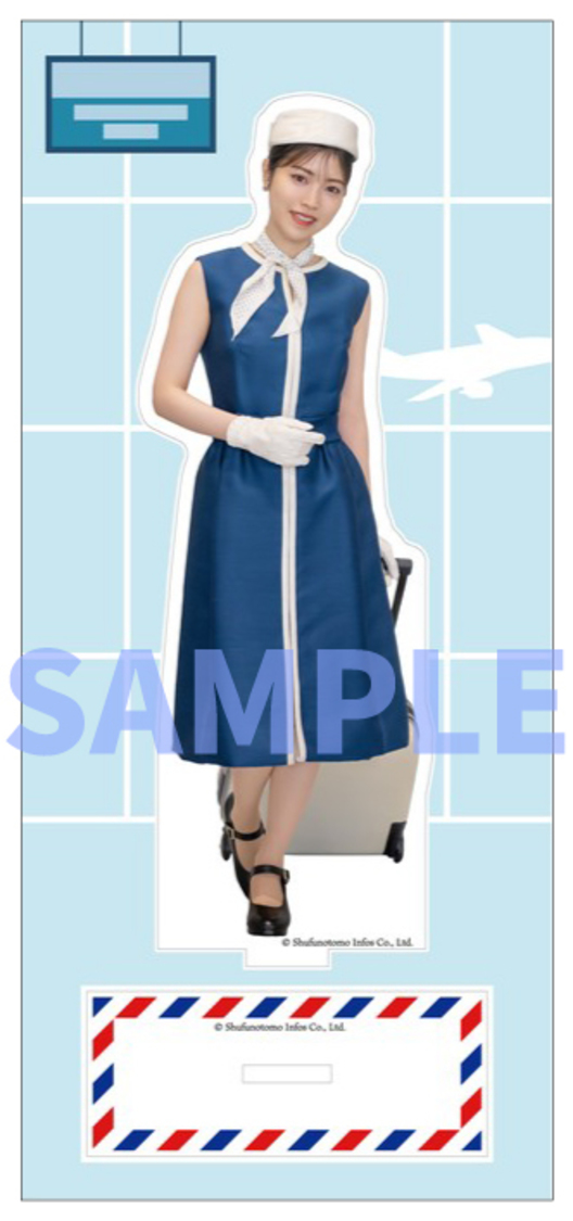 主婦の友インフォス限定版／ビッグアクリルスタンド