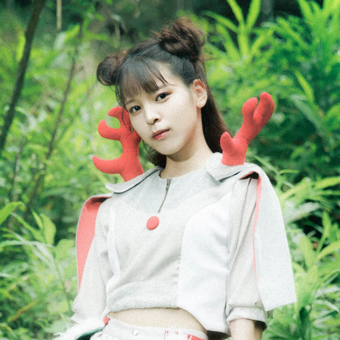 アイカ・ザ・スパイ（豆柴の大群）