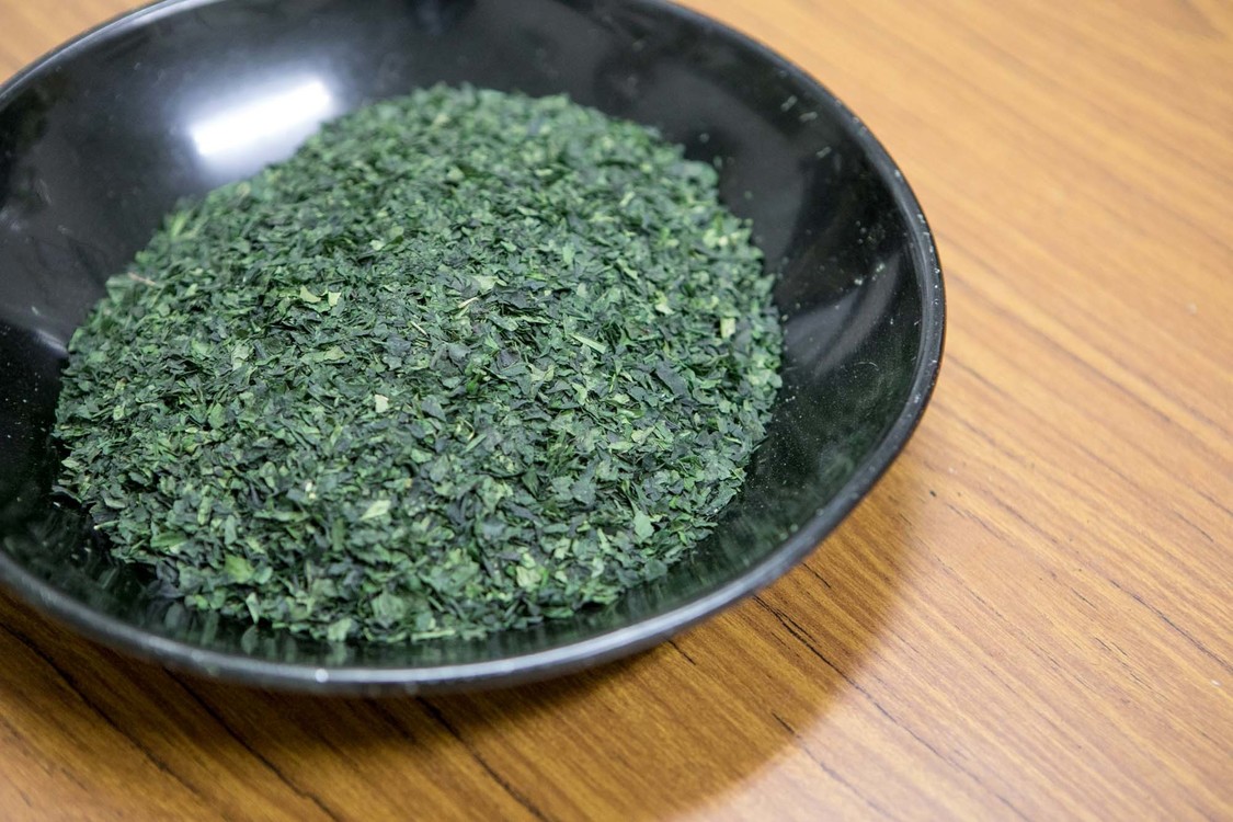 26時のマスカレイド 江嶋綾恵梨「えじのお茶会体験記〜大和撫子になっちゃうよ？〜」第3回｜埼玉県狭山市・奥富園