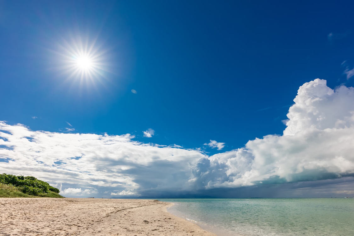 撮影：Kyoji Ymamato